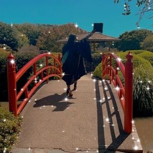 Meet your Posher, Rumbie